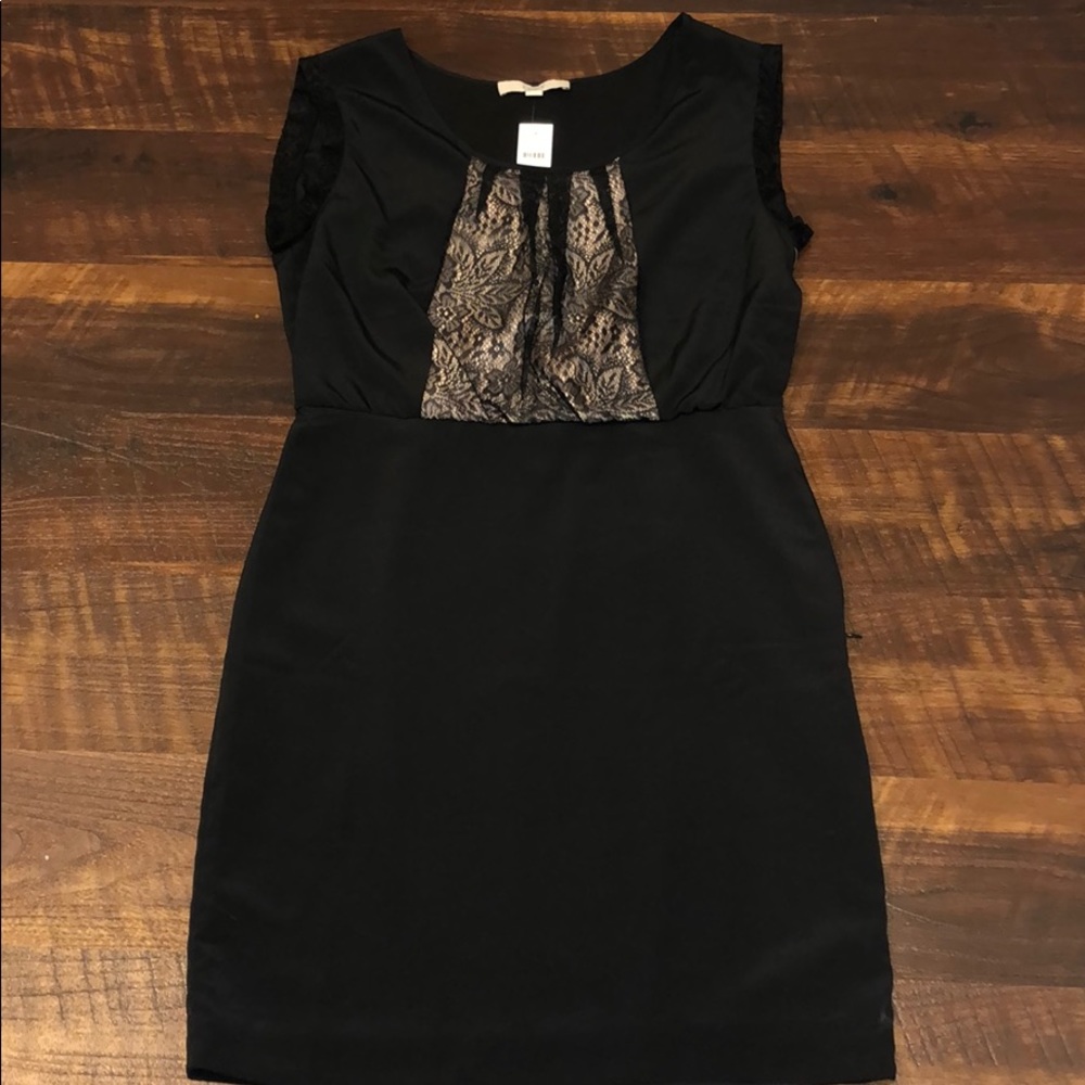 NWT Ann Taylor Loft Dress